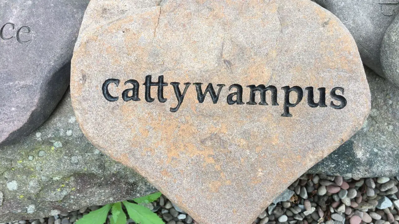 cattywampus
