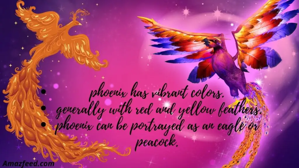 infograph of phoenix
