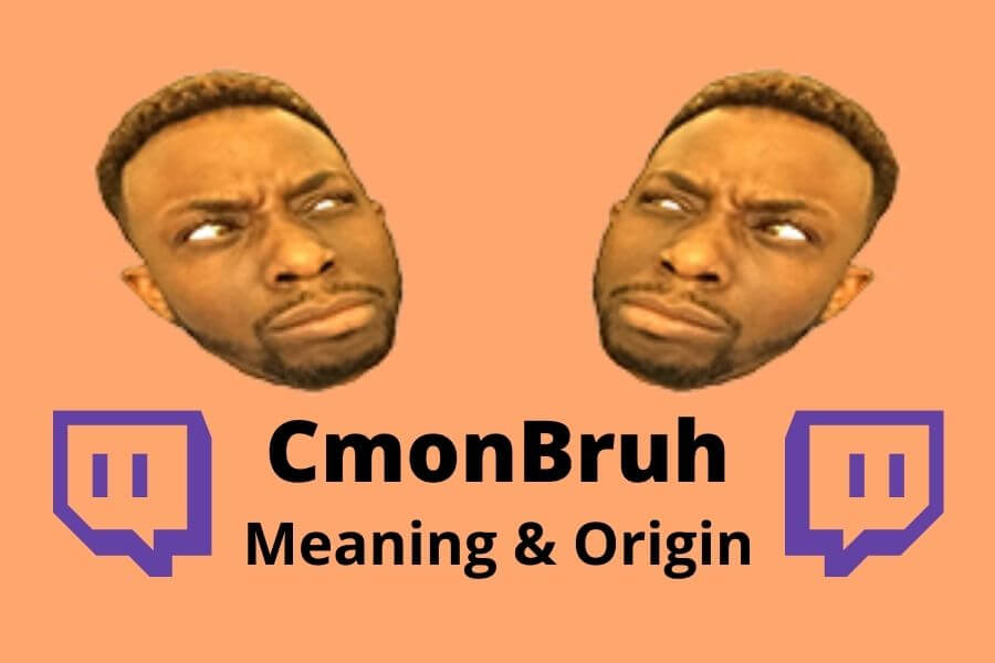 dmca meaning twitch