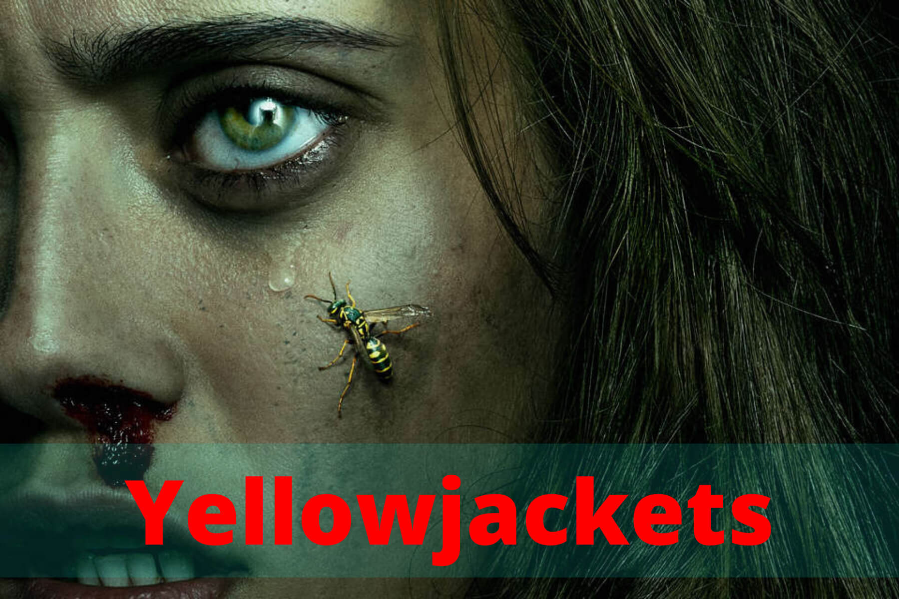 Where to Watch & How to watch Yellowjackets Know in detail! » Amazfeed