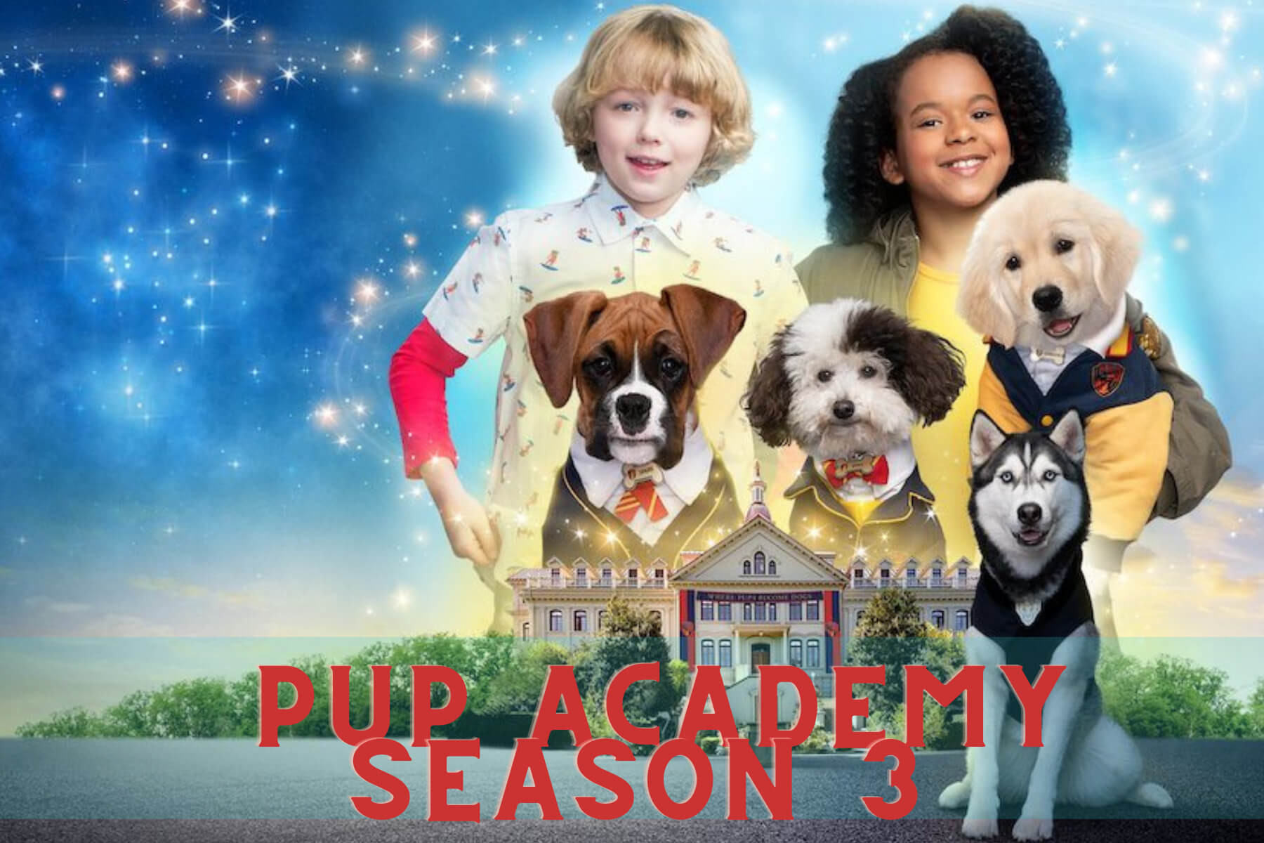 pup academy season 3