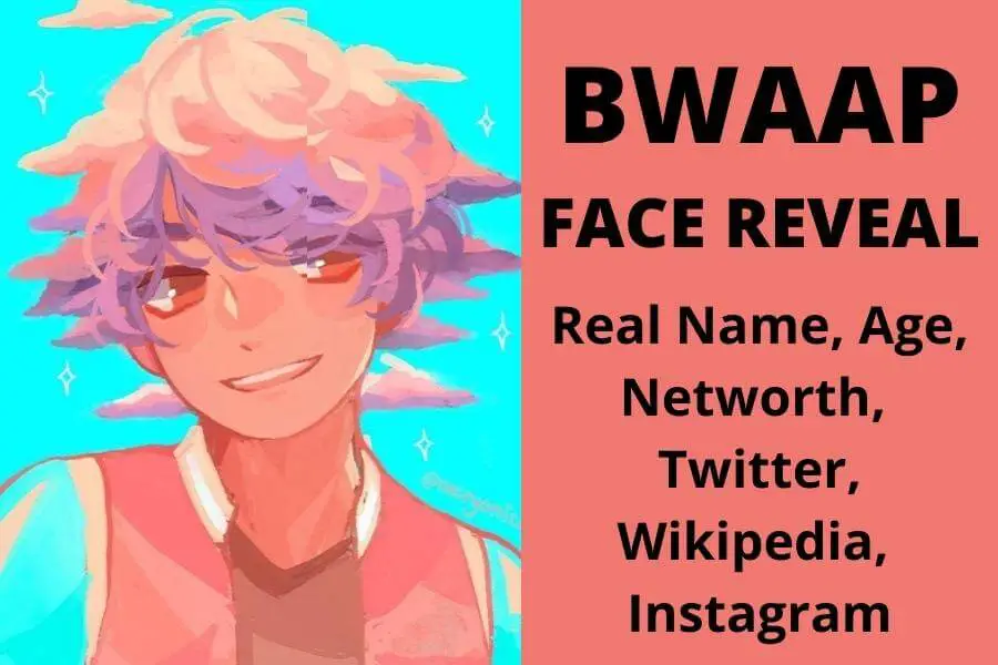 Bwaap Face Reveal, Real Name, Age, Networth, Twitter, Wikipedia, Instagram