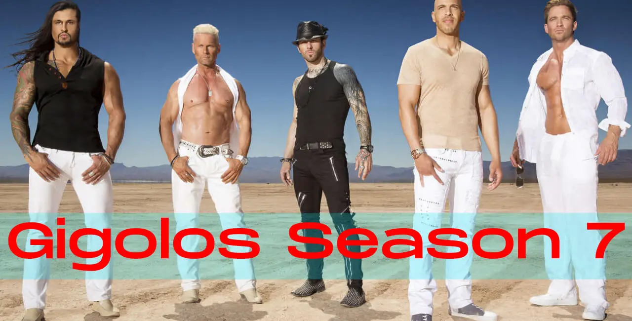Gigolos Season 7 Plot: What would it be able to be About?