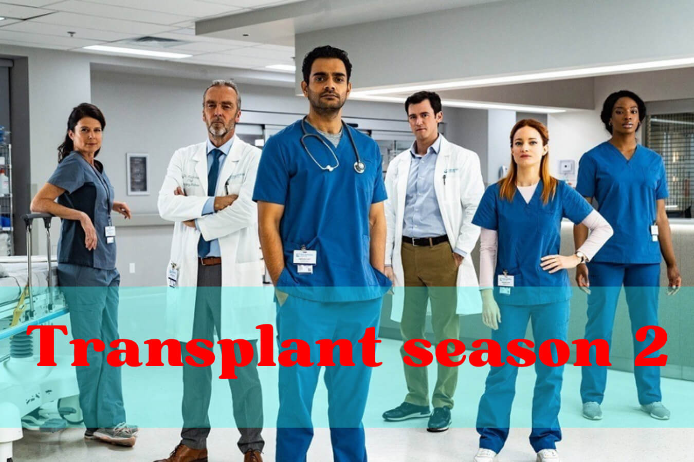 Is There Any News Of Transplant Season 2 Trailer?