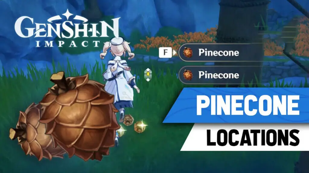 Uses for Pinecones