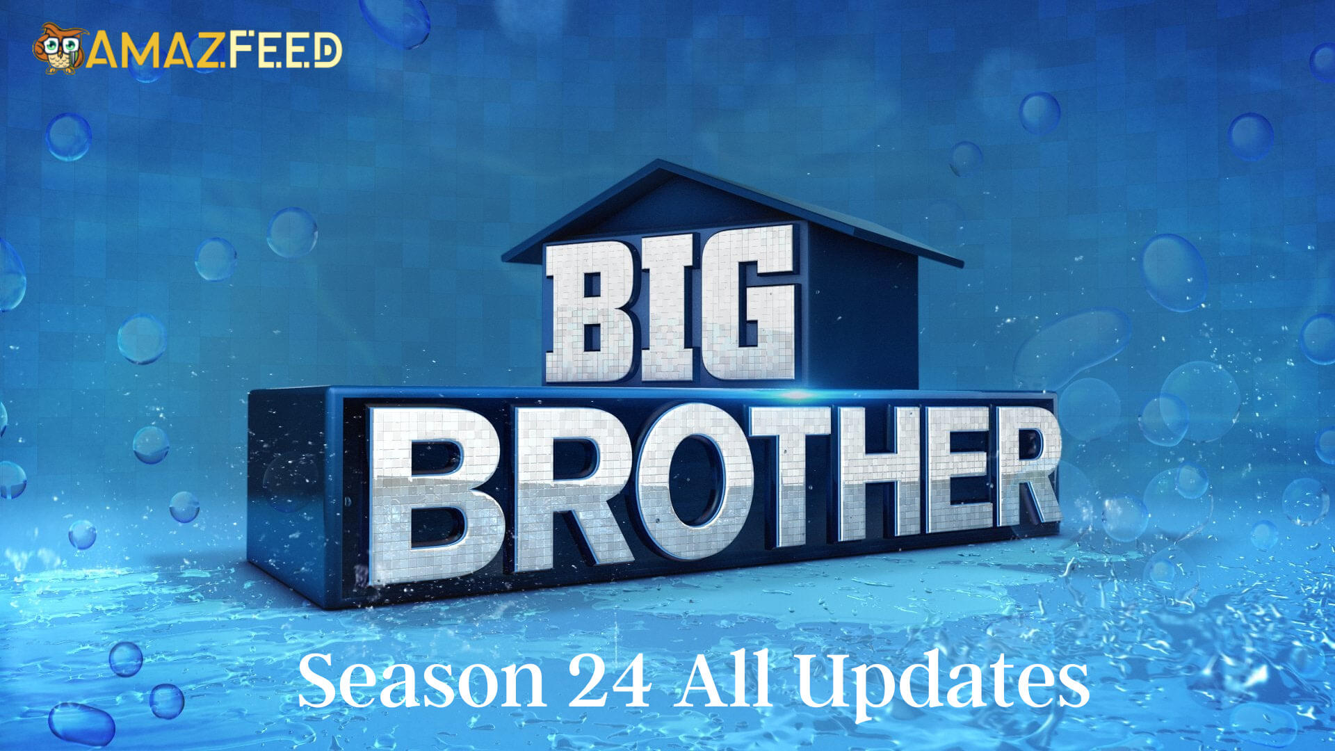 Big Brother Season 24 Release Date