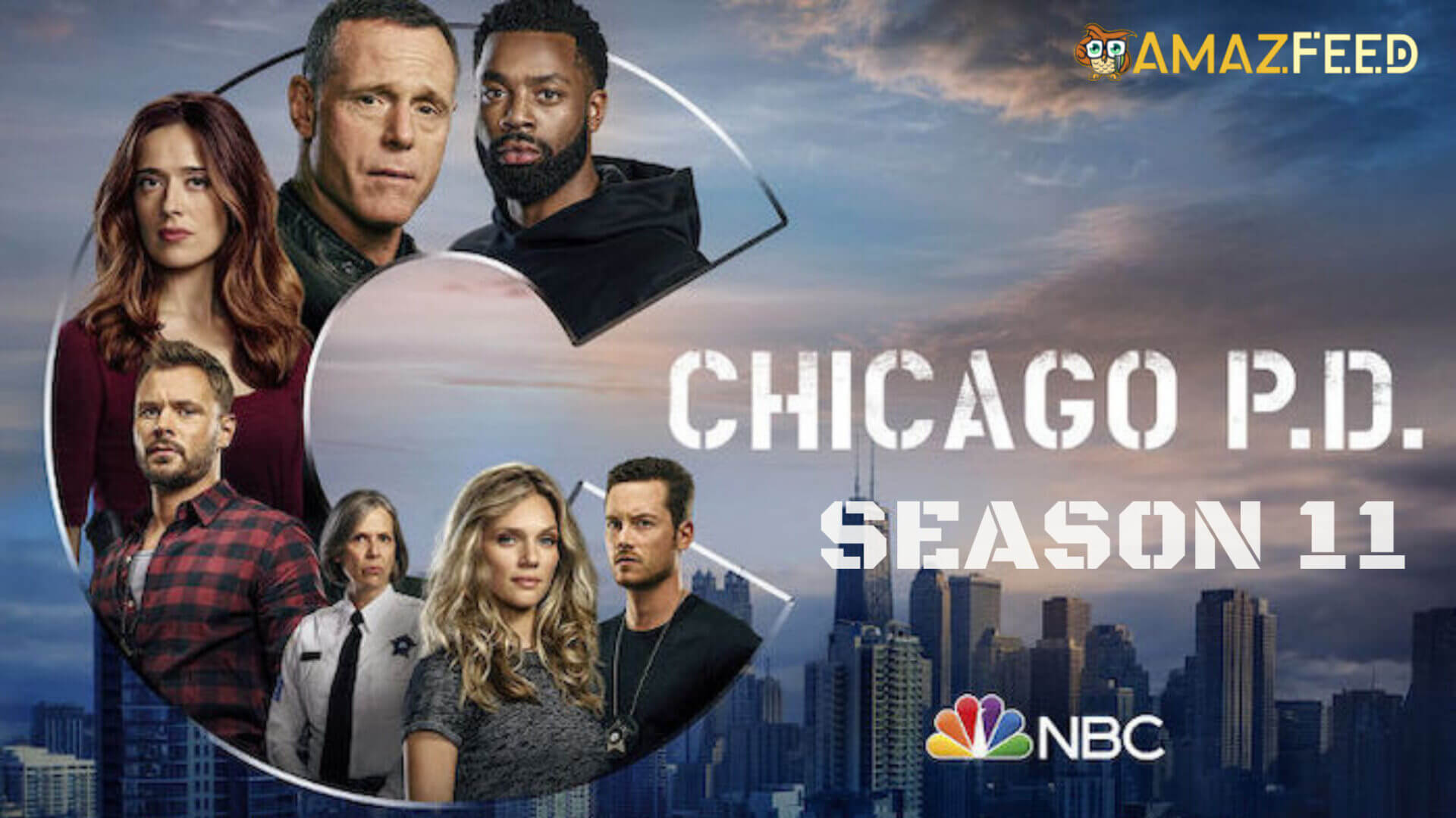 When is Chicago PD Season 11 Coming Out (Release Date)