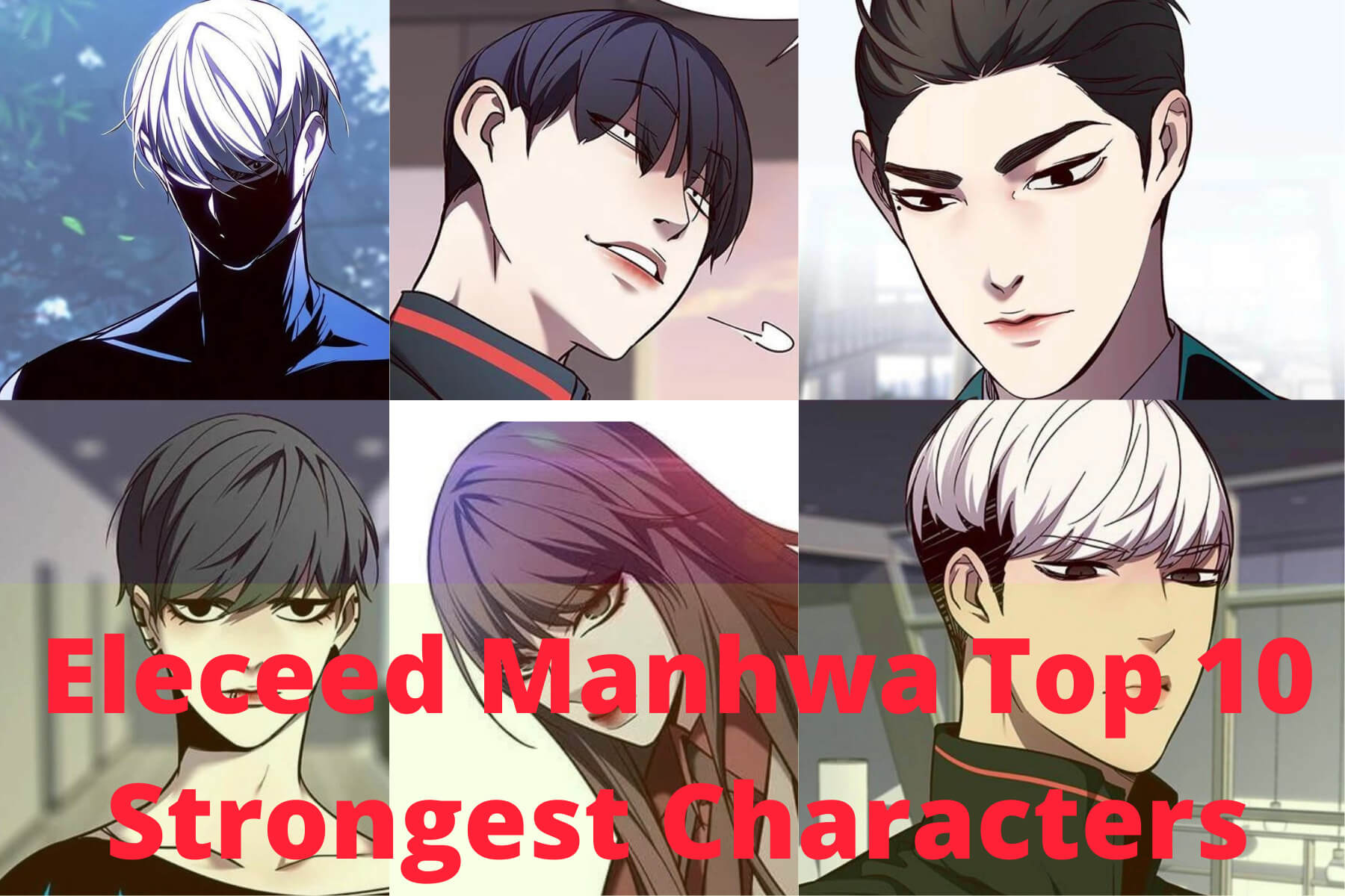 Eleceed Manhwa Top 10 Strongest Characters