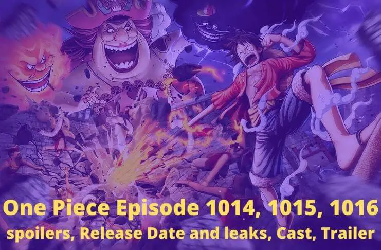 One Piece Episode 1014,1015,1016 spoilers, Release Date and leaks, Cast, Trailer