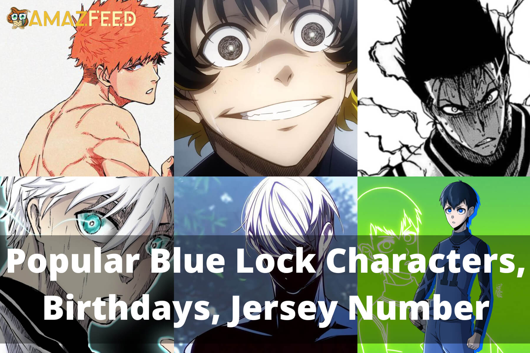 Popular Blue Lock Characters, Birthdays, Jersey Number