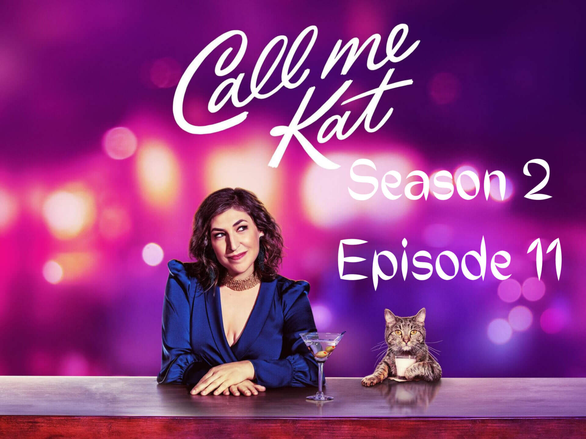 When is Call Me Kat Season 2 Episode 11 Coming Out (Release Date)