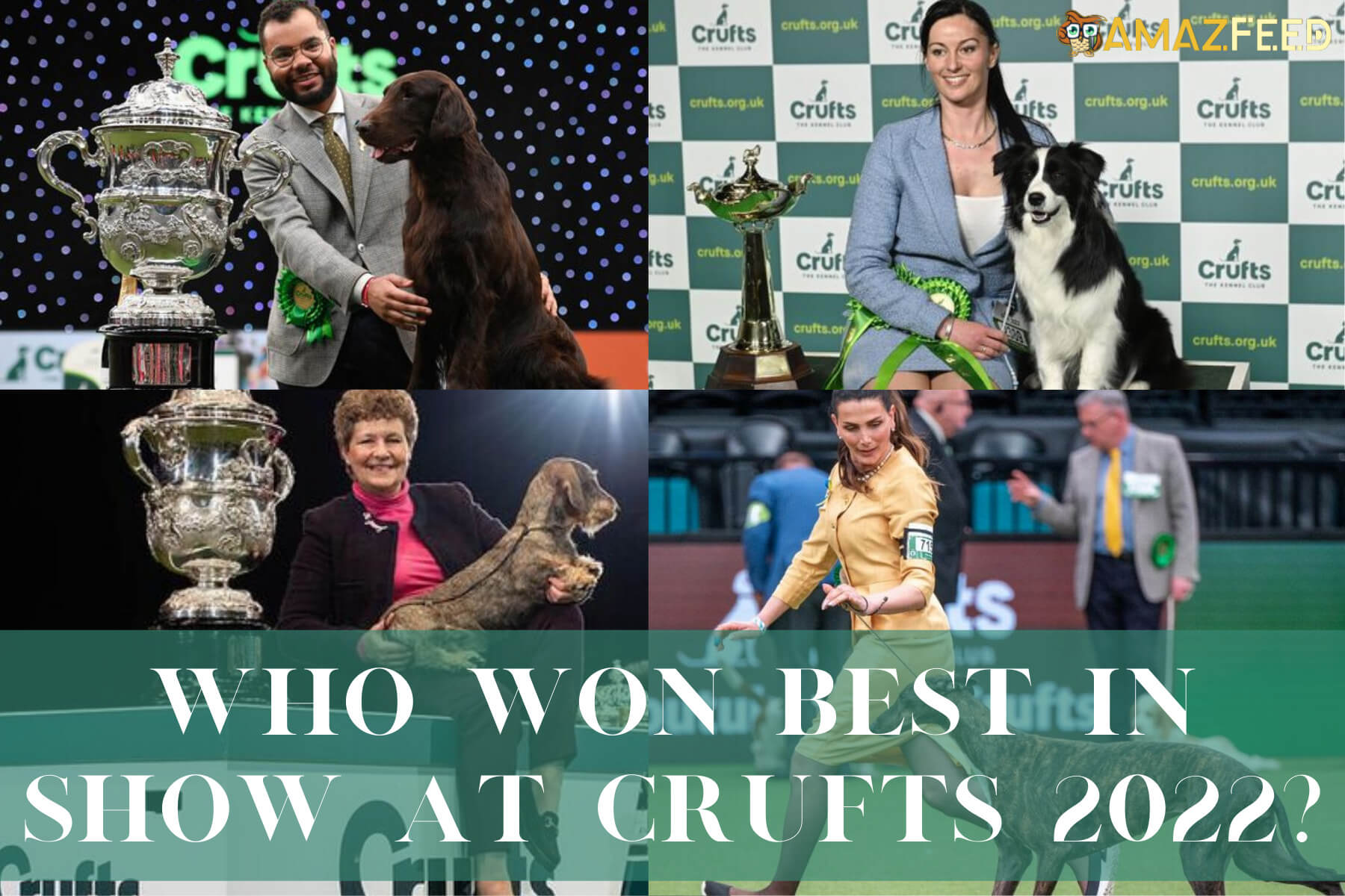 Who won Best in Show at Crufts 2022? Full list of results and Final