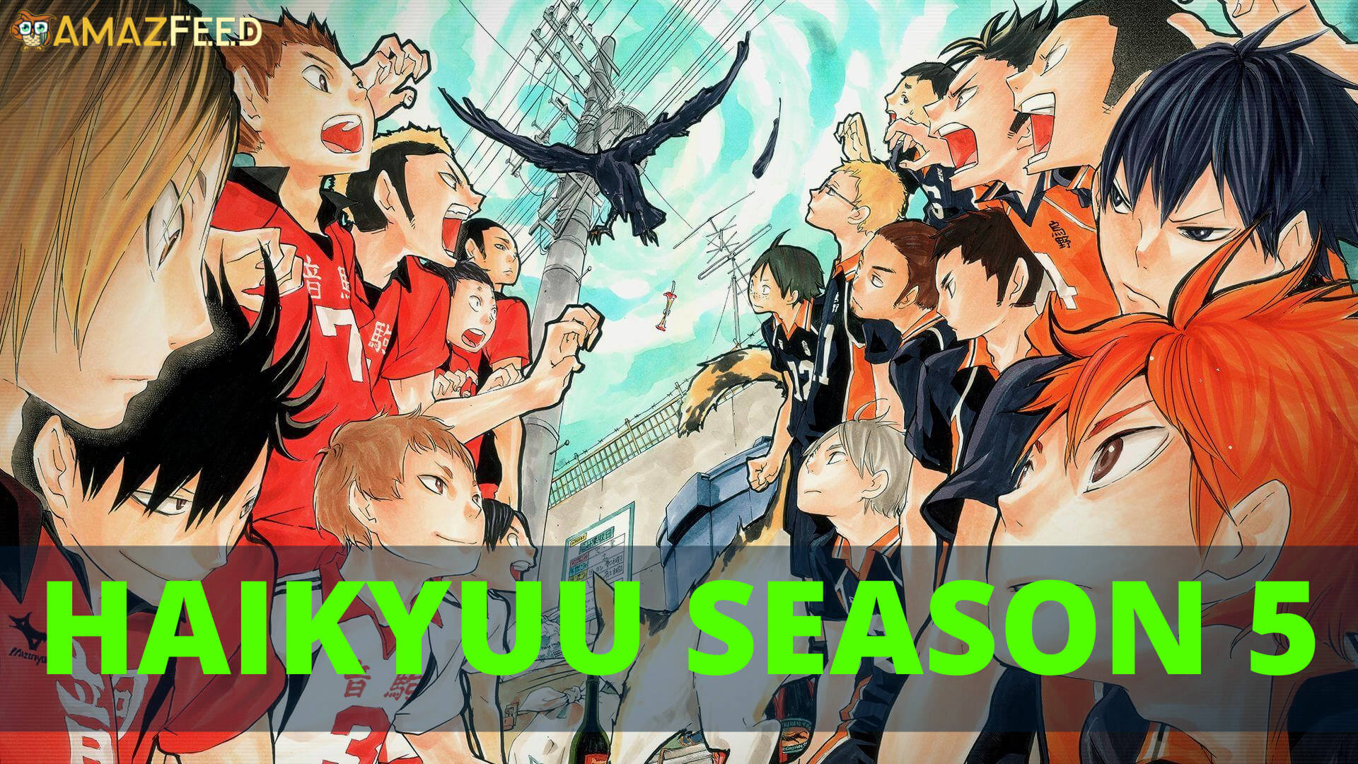 Haikyuu Anime Season 5 Release Date: Plot, Trailer, And News For Anime  Series » Amazfeed