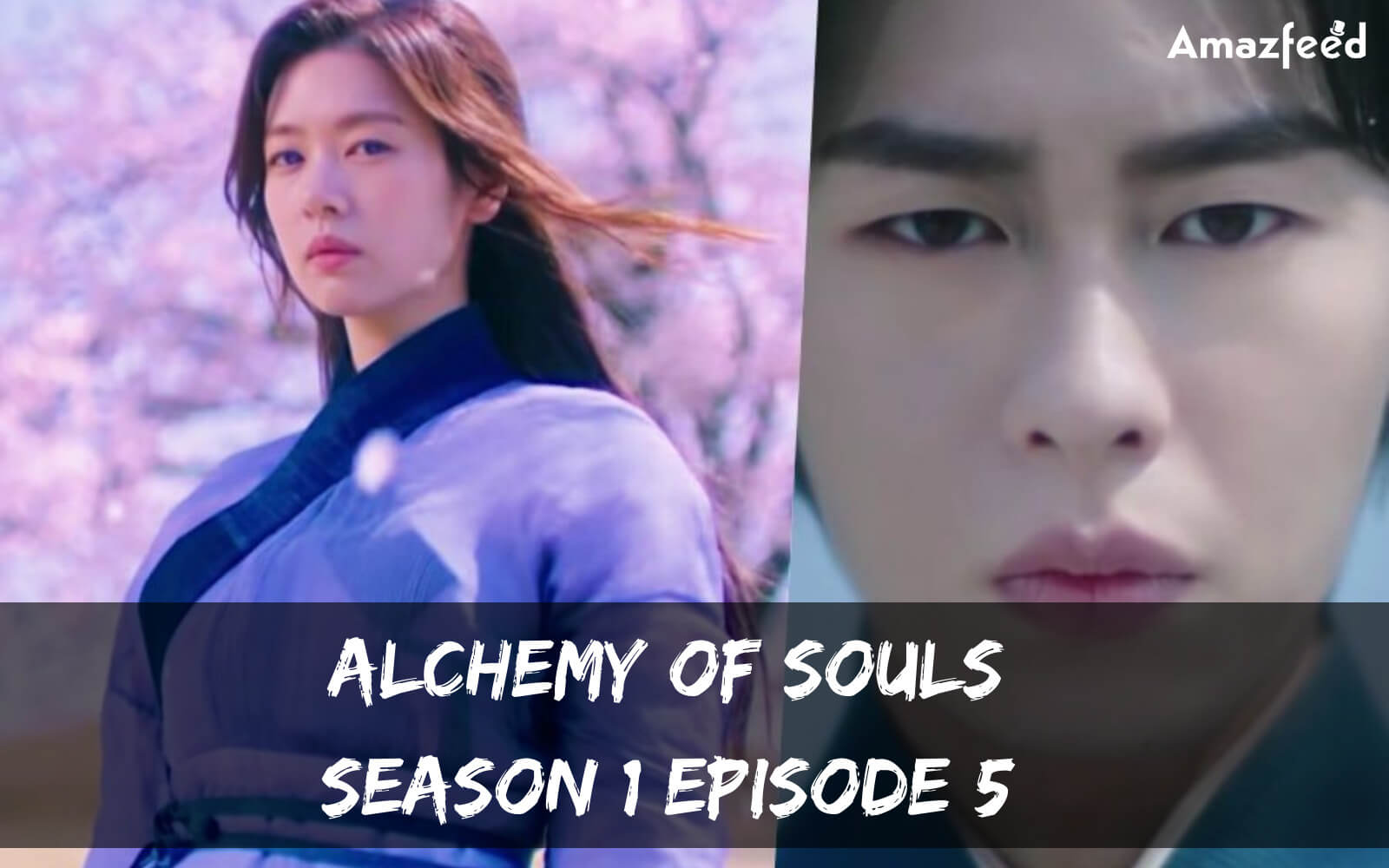 Alchemy of Souls season 1 Episode 5 release date