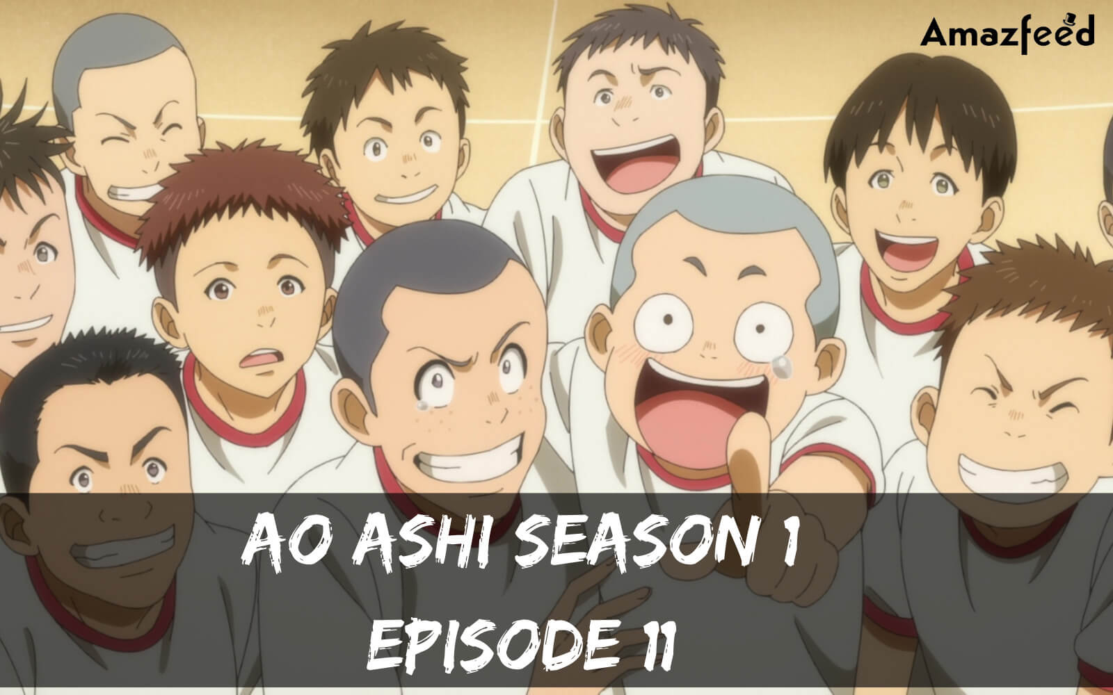 Ao Ashi season 1 Episode 11 release date