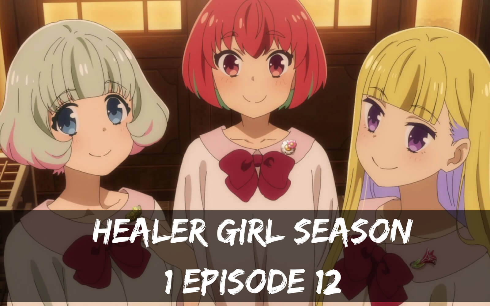 Healer Girl Season 1 Episode 12 release date