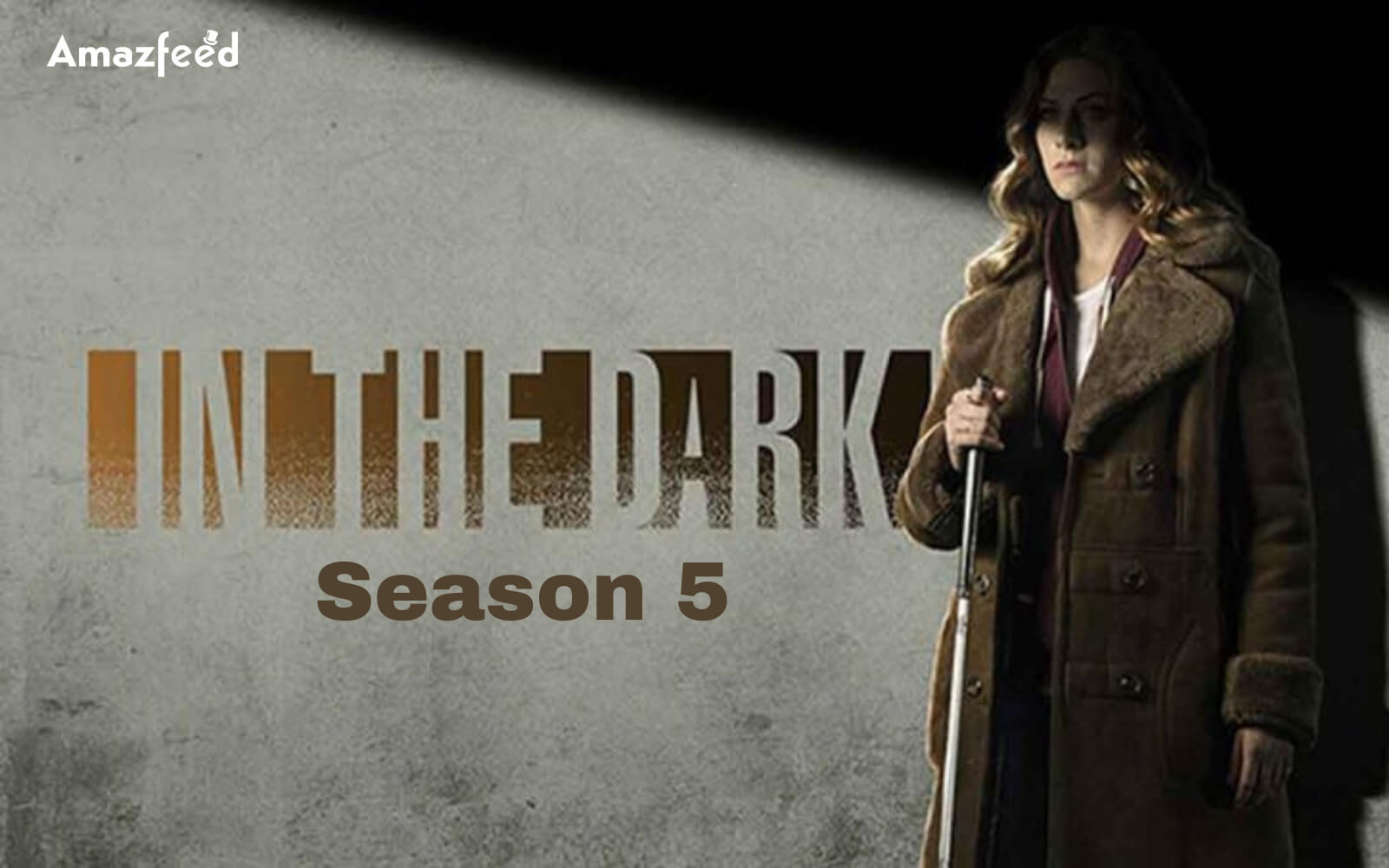 In the Dark Season 5 Release date
