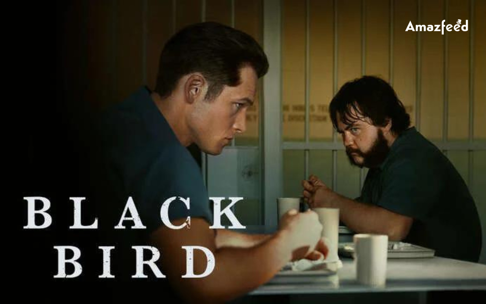 Black Bird Season Finale