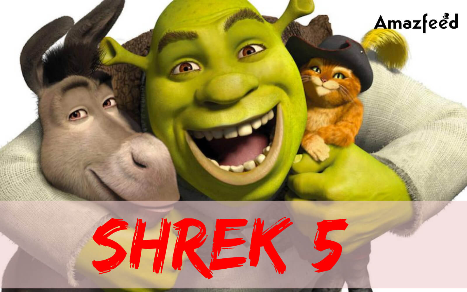 Sherk 5 Rating And Review (1)