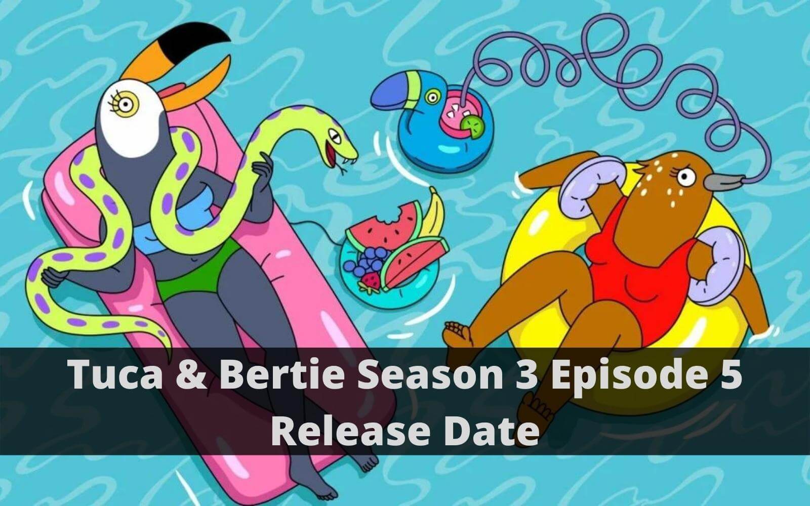Tuca & Bertie Season 3 Episode 5 : Countdown Release Date, Spoiler, Recap, Trailer