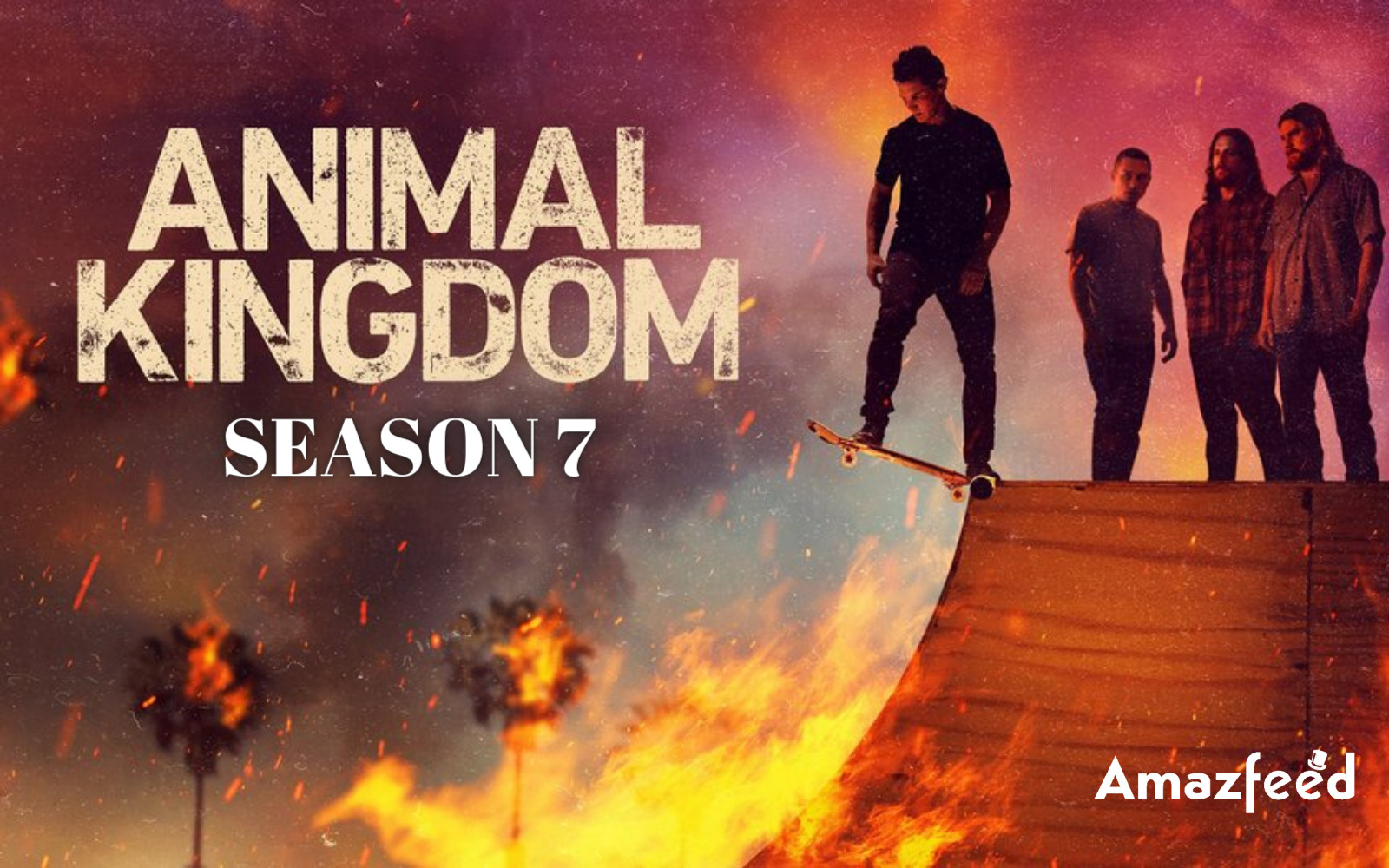 Animal Kingdom Season 7 ⇒ Release Date, News, Cast, Spoilers & Updates »  Amazfeed