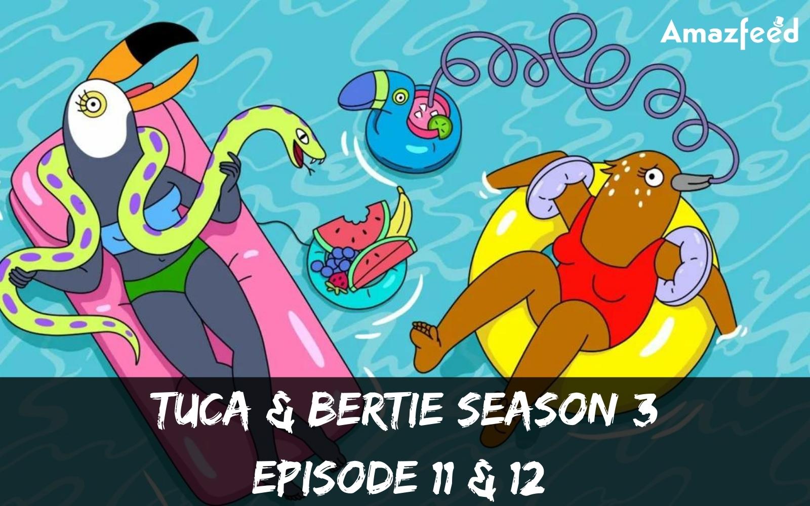 Tuca & Bertie Season 3 Episode 11 & 12 : Countdown Release Date, Spoiler, Recap, Teaser & Premiere Time