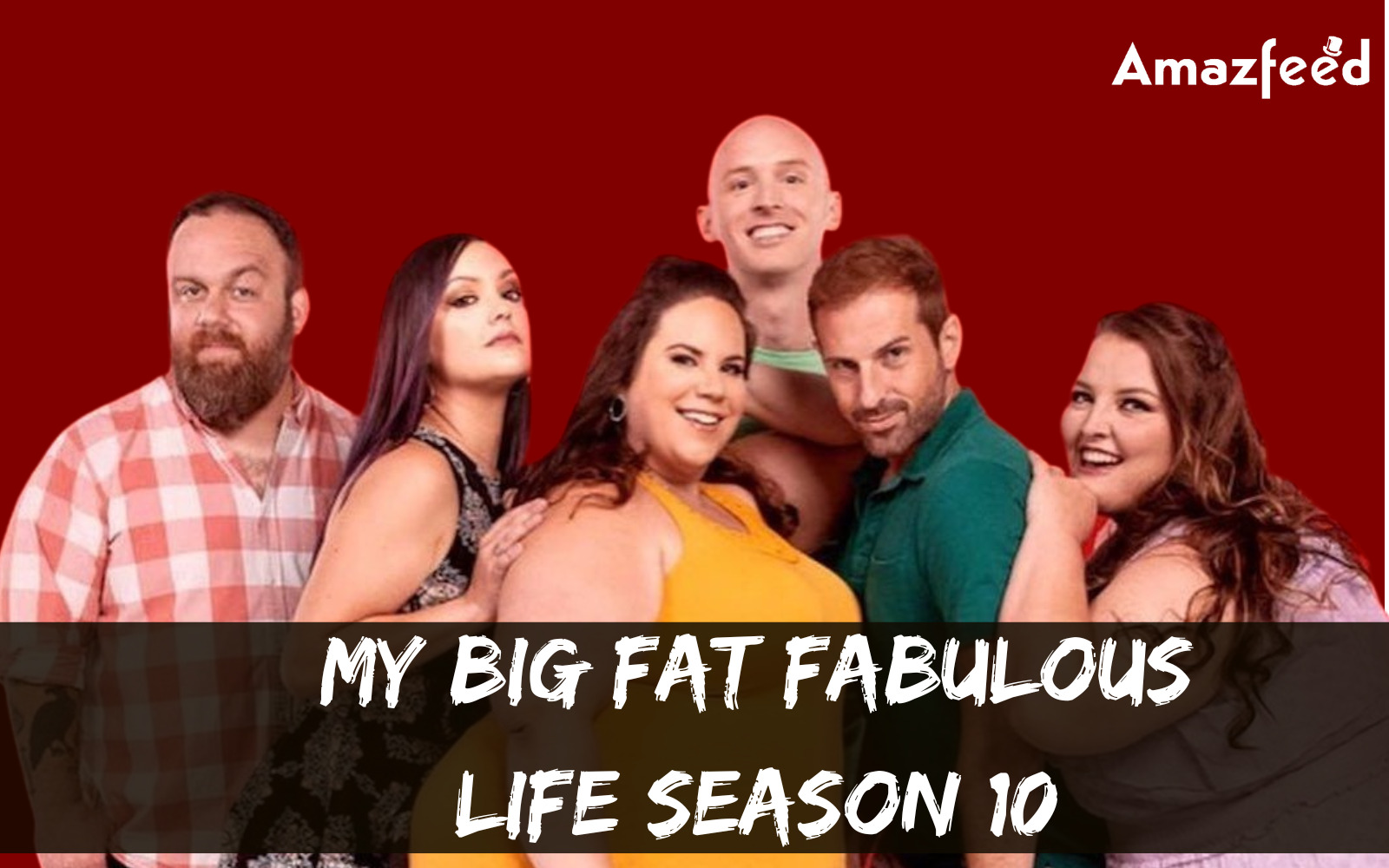 What can the viewers expect from My Big Fat Fabulous Life season 10 (1)