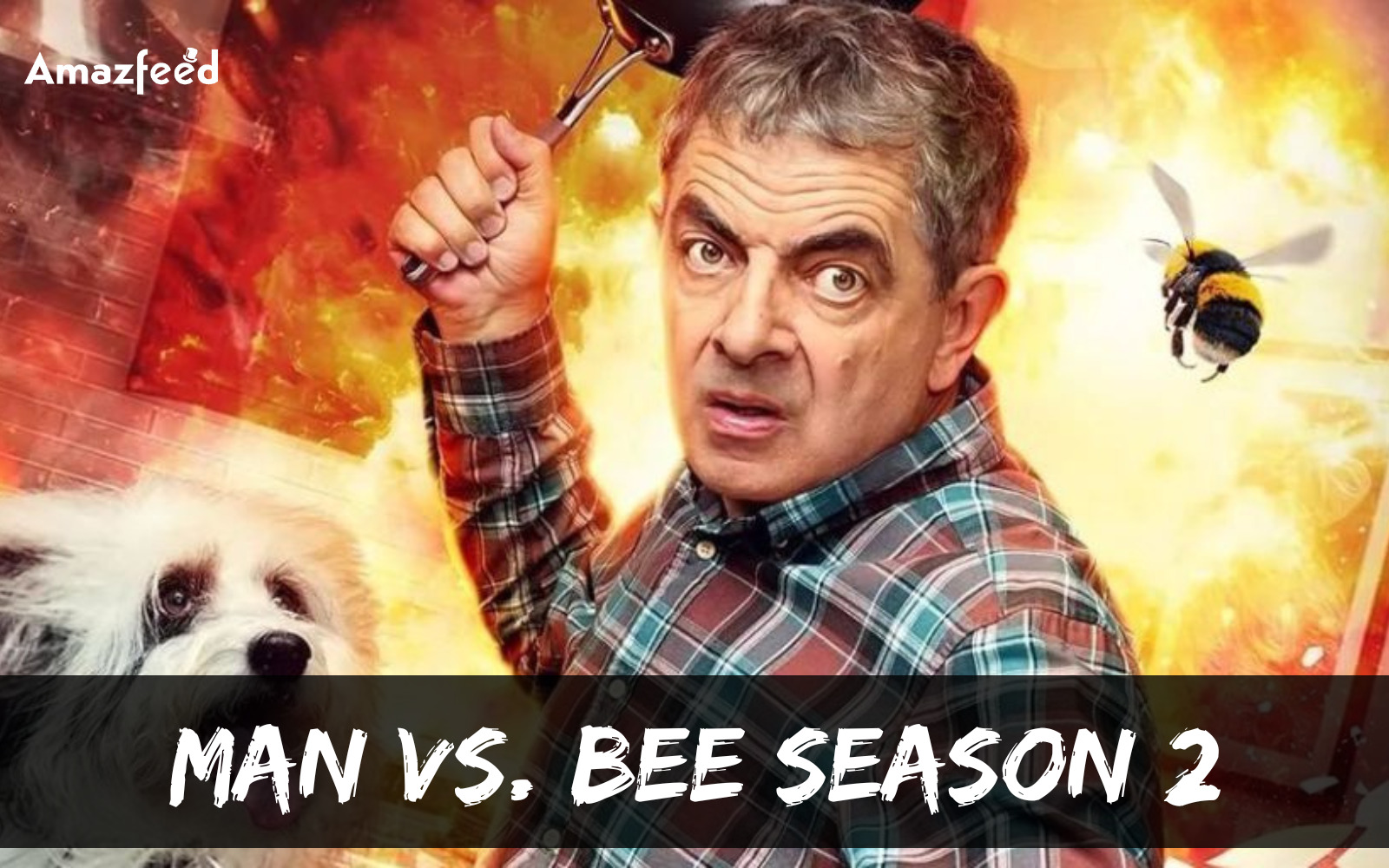 When Is Man Vs. Bee Season 2 Coming Out