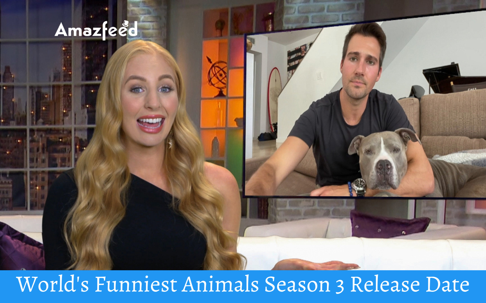 World's Funniest Animals Season 3 Release Date