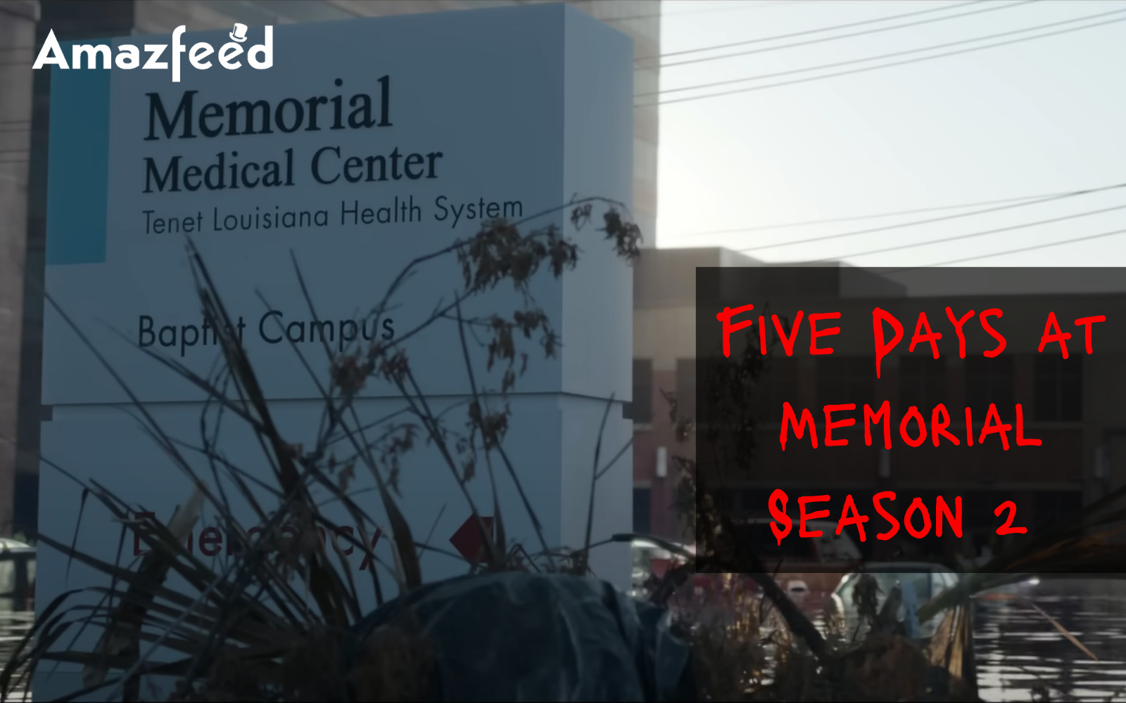 Five Days at Memorial Season 2 Release date & time