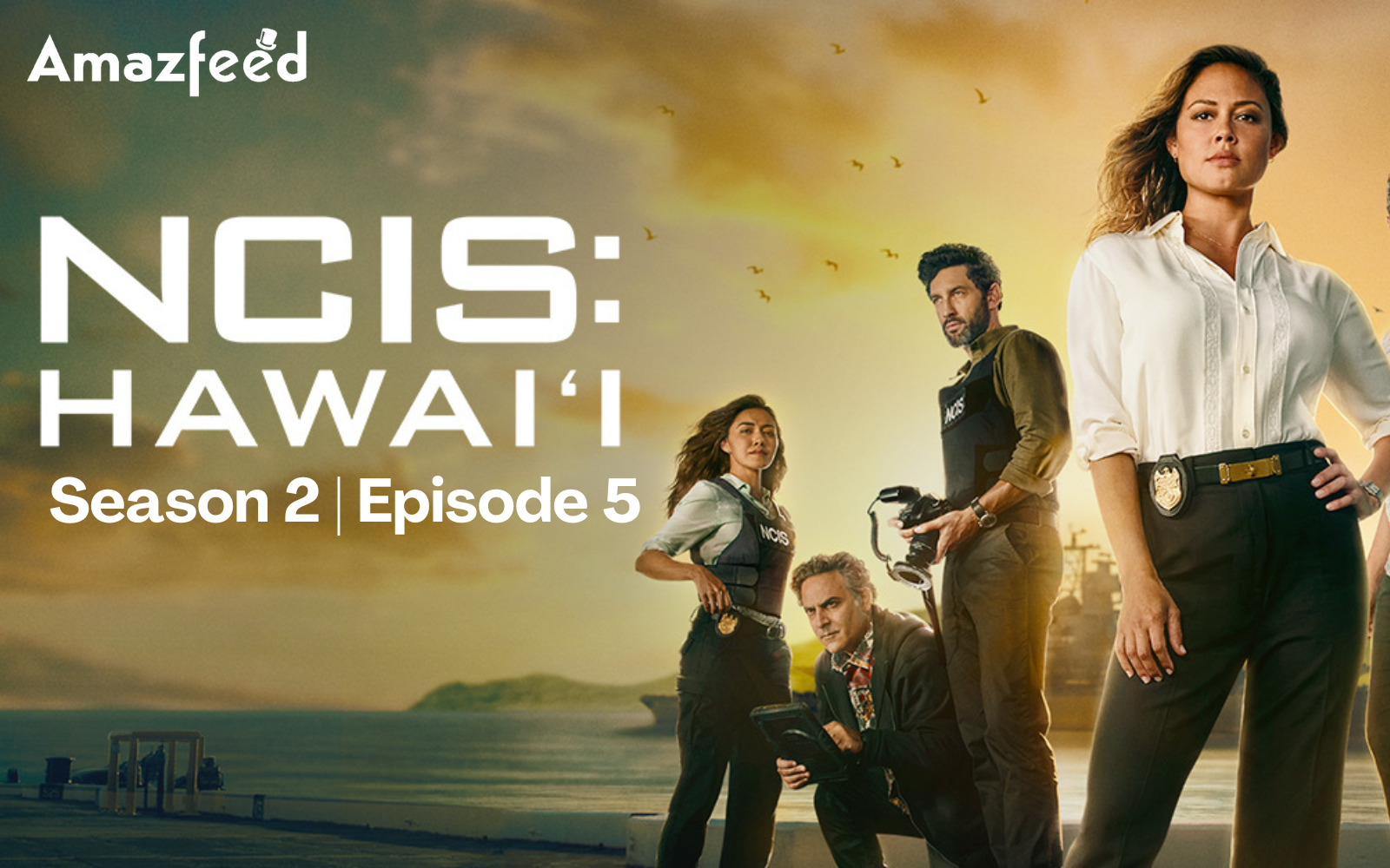 NCIS Hawaii Season 2 Episode 5: Release Time, Countdown, Spoiler, Review, W...