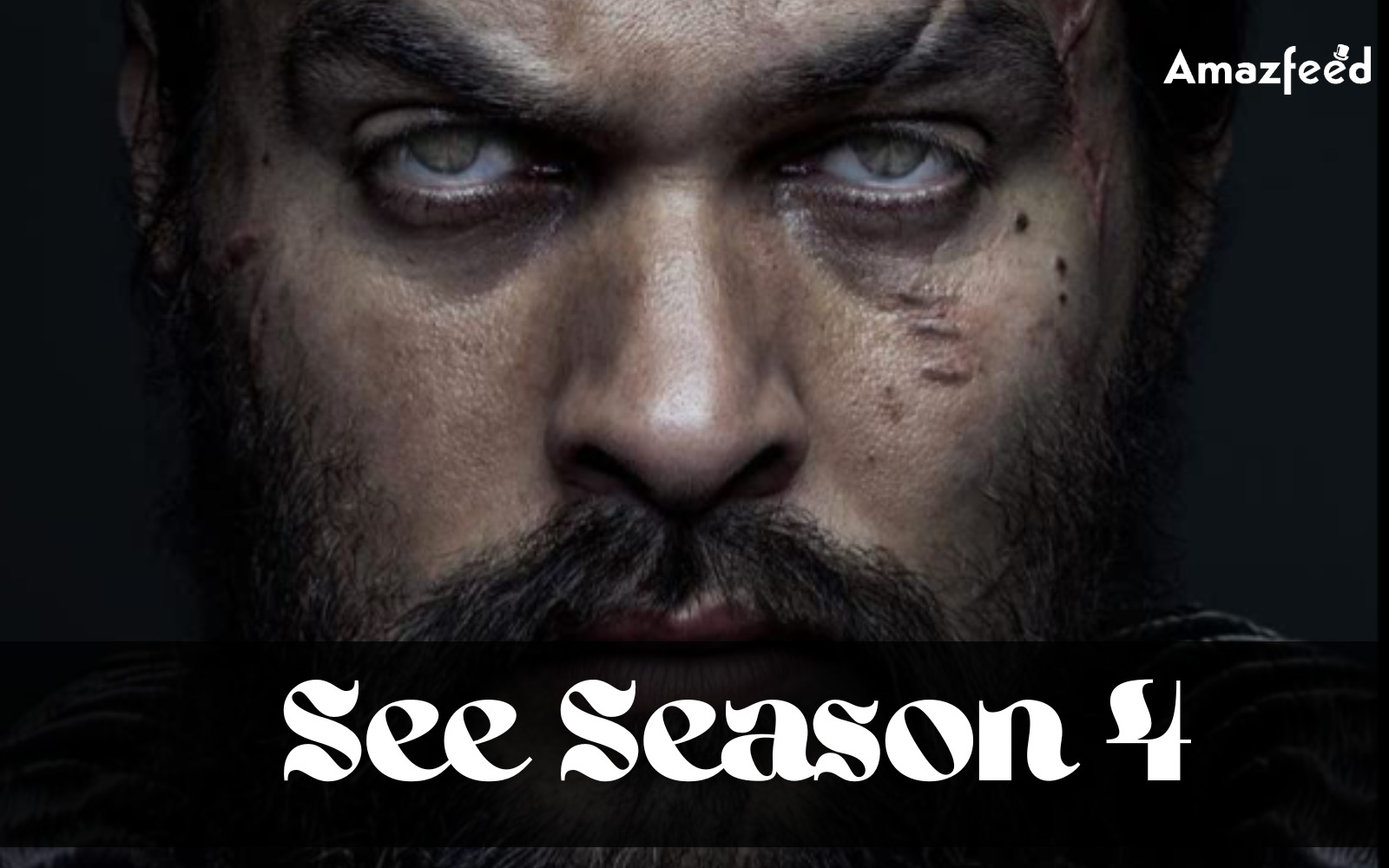 See Season 4 Overview