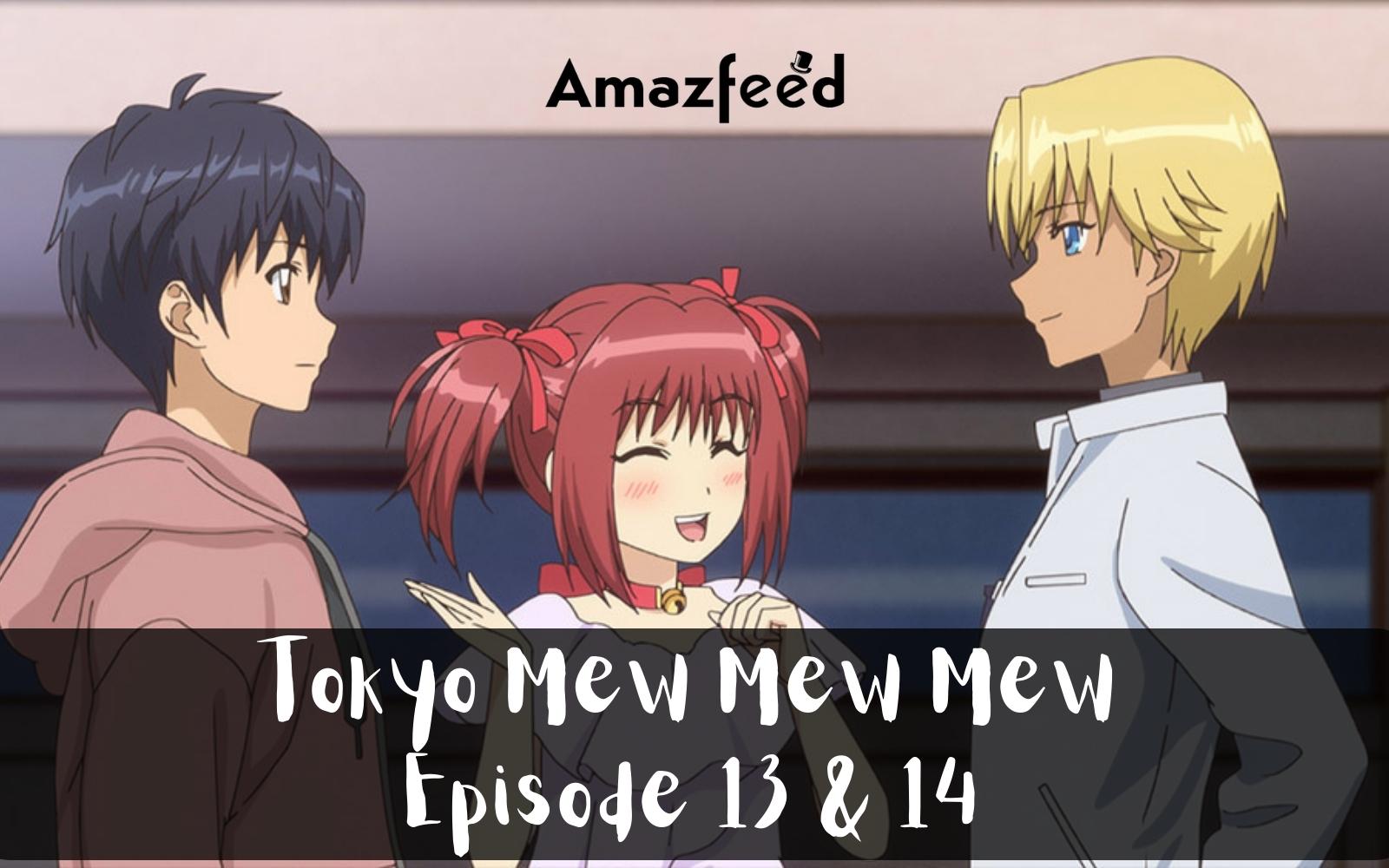 Tokyo Mew Mew Mew Episode 13 & 14 : Countdown, Release Date, Spoiler, Cast, Premiere Time & Recap