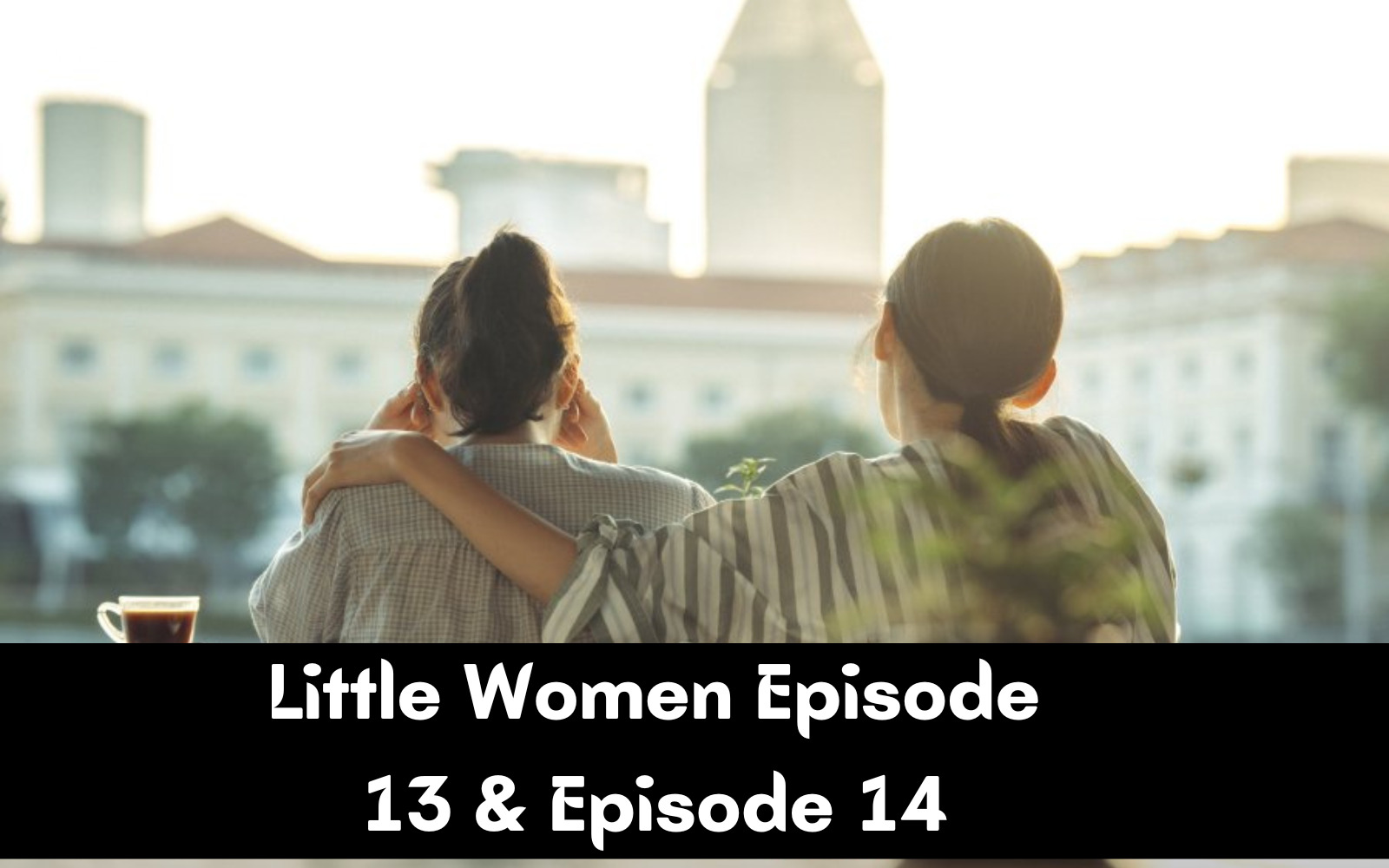 When Is Little Women Episode 13 & Episode 14 Coming Out (Release Date)