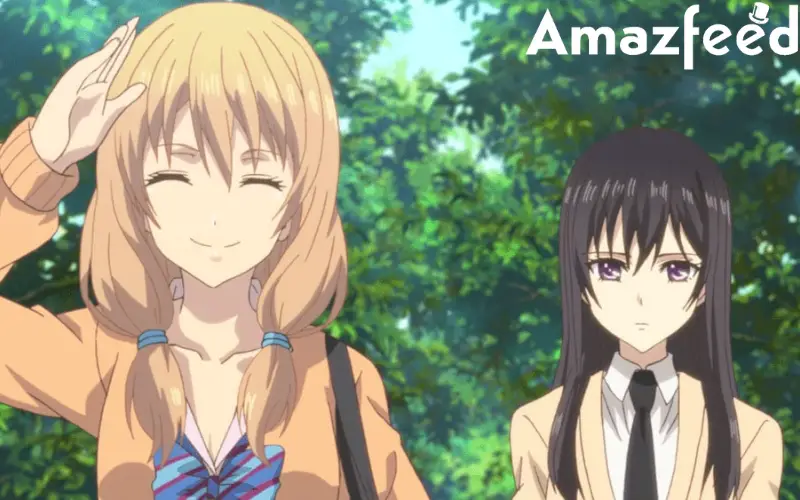 Citrus Season 2: Confirmed Release Date. Did The Show Finally Get Renewed?  » Amazfeed