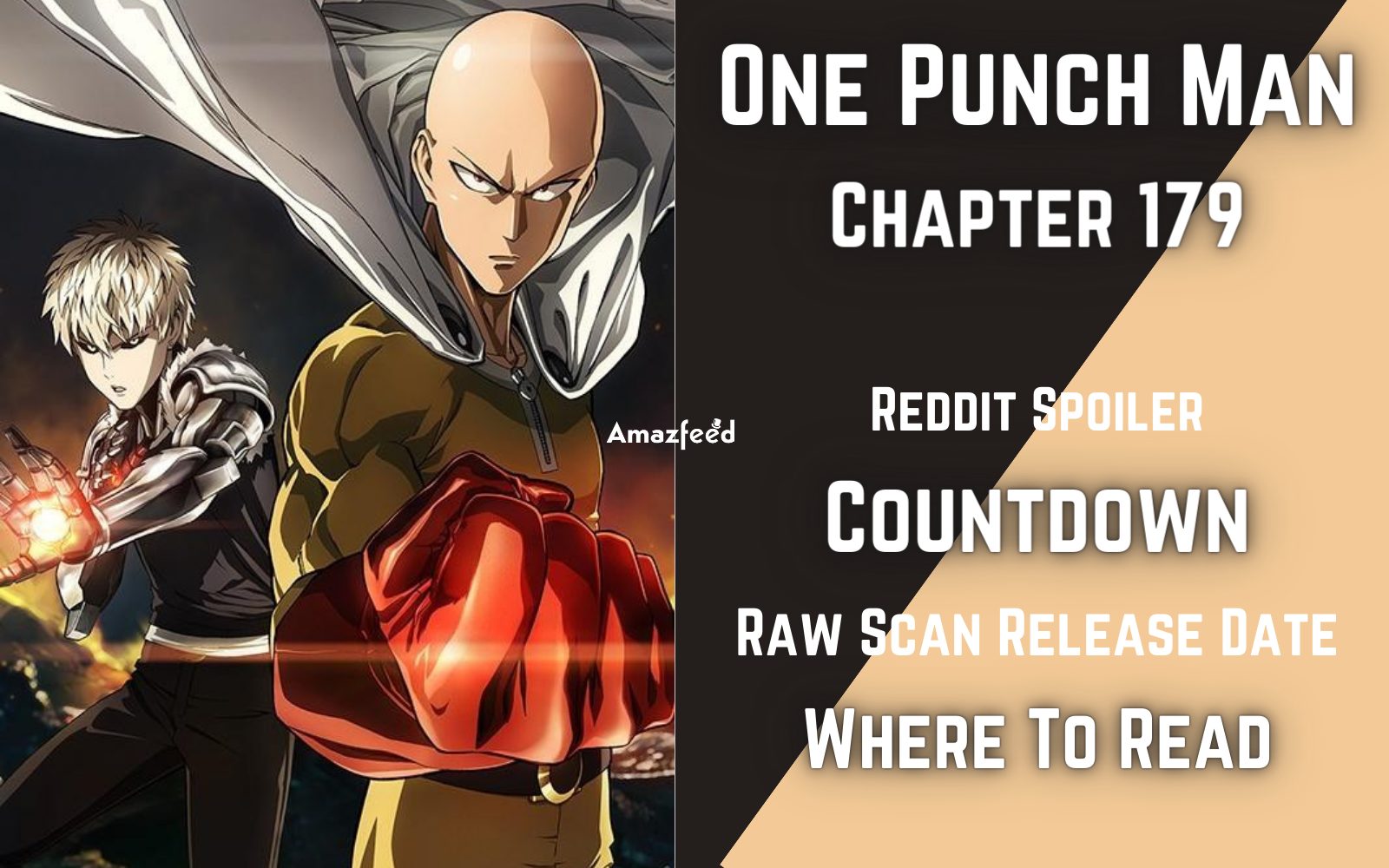 One Punch Man Chapter 179 Spoiler, Raw Scan, Release Date, Count Down »  Amazfeed